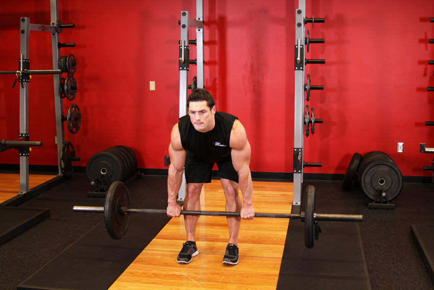 Demonstration of Romanian Deadlift exercise showing proper form and technique