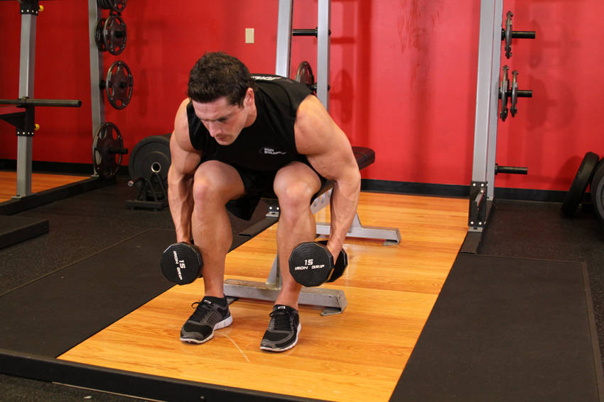 Demonstration of Seated Bent-Over Rear Delt Raise exercise showing proper form and technique