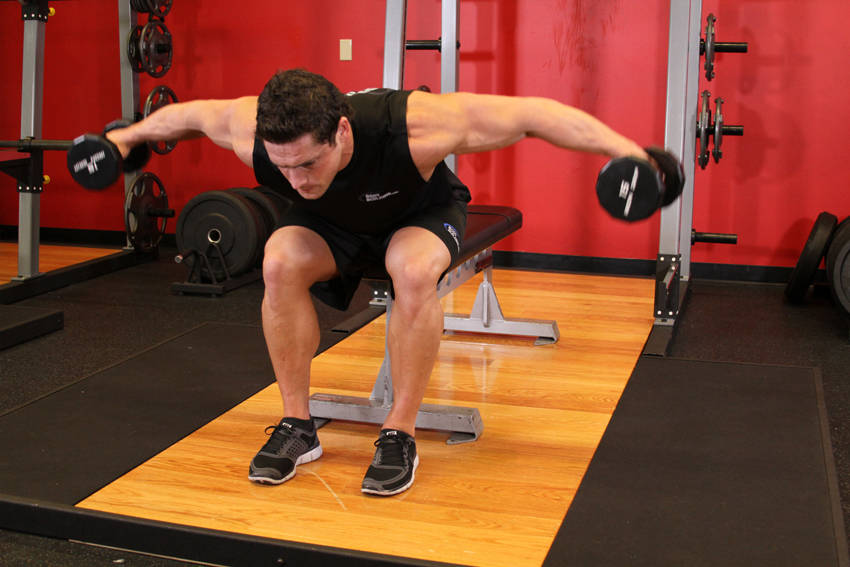 Alternative demonstration of Seated Bent-Over Rear Delt Raise exercise