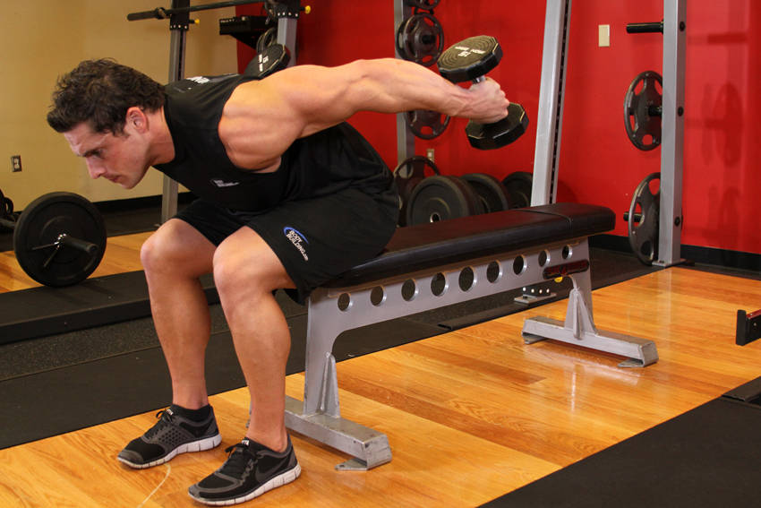 Alternative demonstration of Seated Bent-Over Two-Arm Dumbbell Triceps Extension exercise