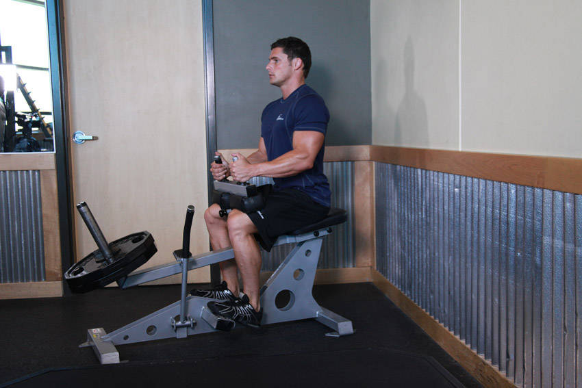Demonstration of Seated Calf Raise exercise showing proper form and technique
