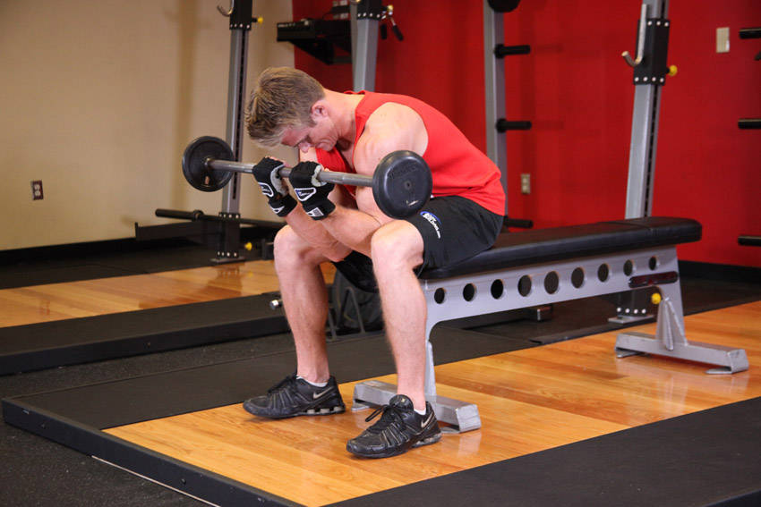 Alternative demonstration of Seated Close-Grip Concentration Barbell Curl exercise