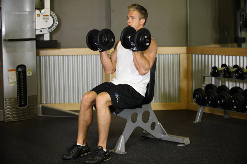 Alternative demonstration of Seated Dumbbell Curl exercise