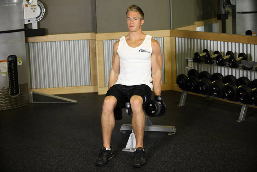 Demonstration of Seated Dumbbell Inner Biceps Curl exercise showing proper form and technique
