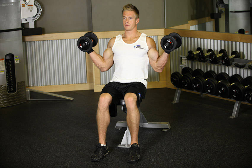 Alternative demonstration of Seated Dumbbell Inner Biceps Curl exercise