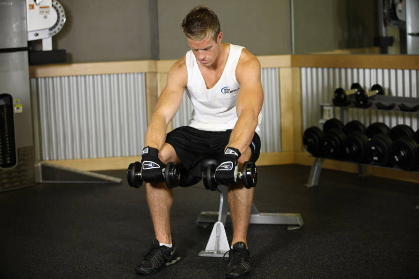 Demonstration of Seated Dumbbell Palms-Down Wrist Curl exercise showing proper form and technique