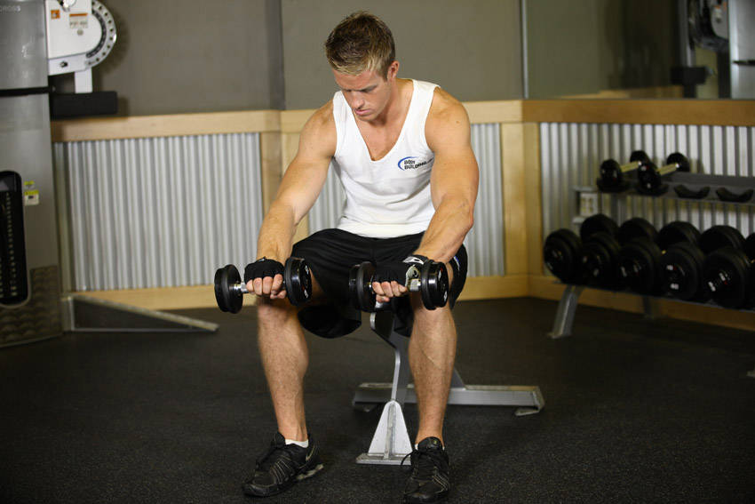 Alternative demonstration of Seated Dumbbell Palms-Down Wrist Curl exercise