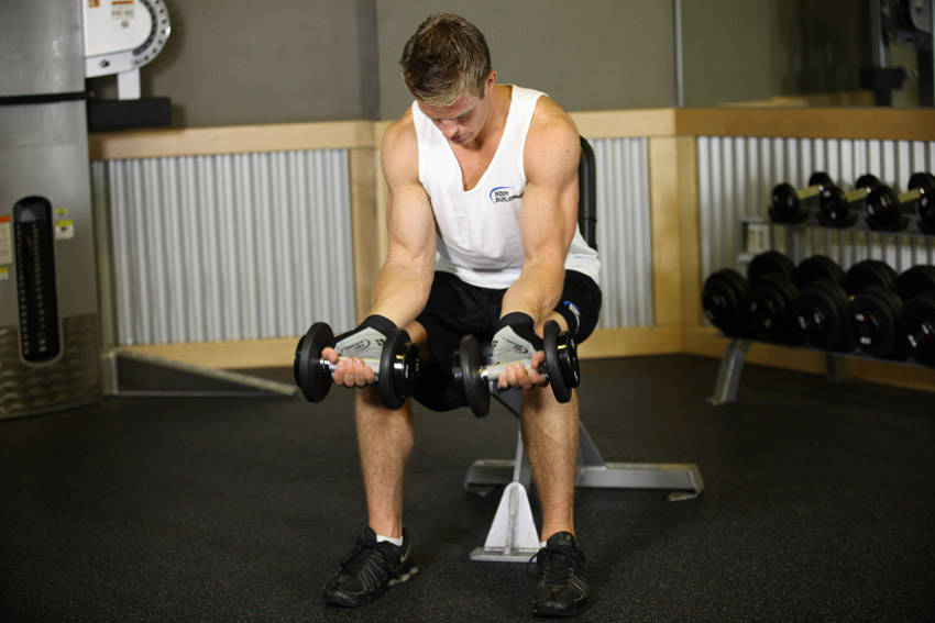 Demonstration of Seated Dumbbell Palms-Up Wrist Curl exercise showing proper form and technique