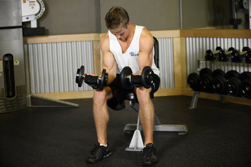 Alternative demonstration of Seated Dumbbell Palms-Up Wrist Curl exercise