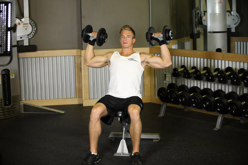 Alternative demonstration of Seated Dumbbell Press exercise