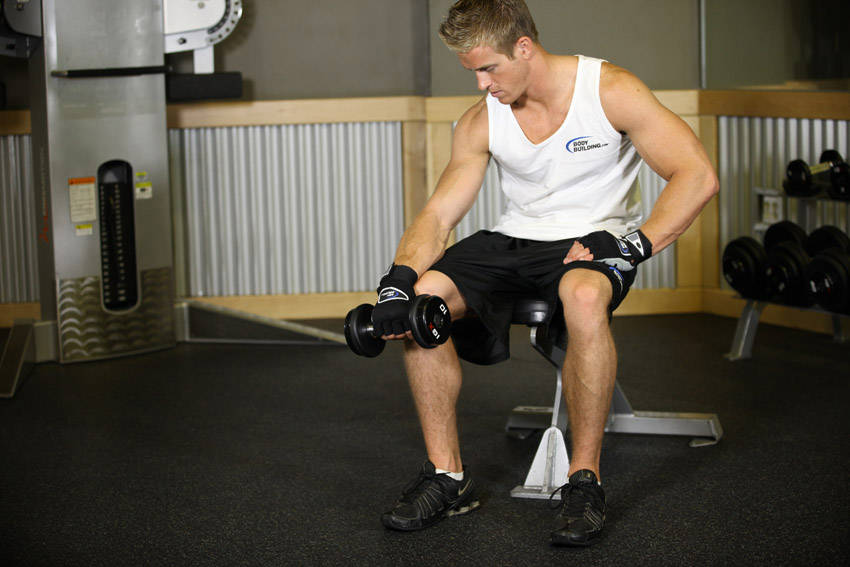 Demonstration of Seated One-Arm Dumbbell Palms-Down Wrist Curl exercise showing proper form and technique