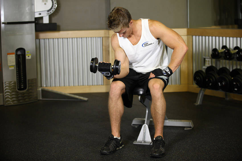 Alternative demonstration of Seated One-Arm Dumbbell Palms-Up Wrist Curl exercise