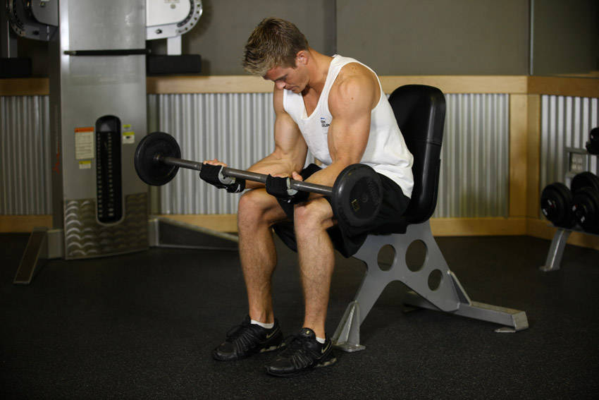 Alternative demonstration of Seated Palm-Up Barbell Wrist Curl exercise
