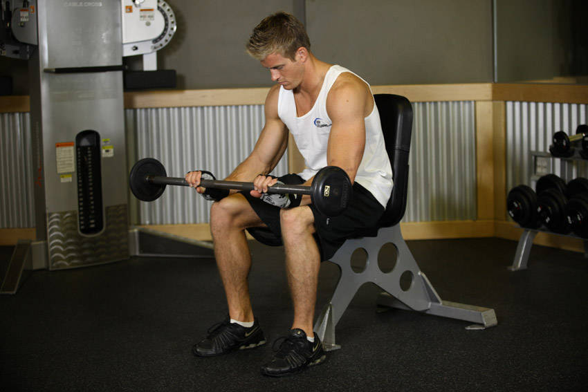 Alternative demonstration of Seated Palms-Down Barbell Wrist Curl exercise