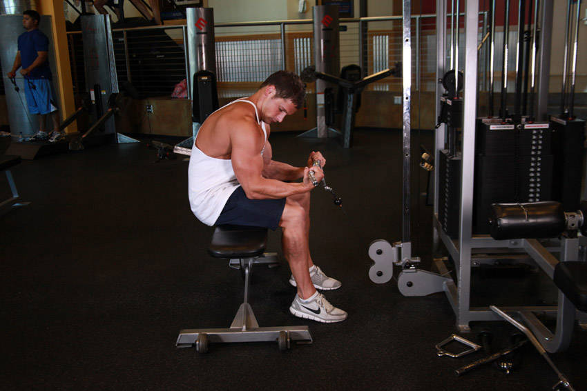Alternative demonstration of Seated Two-Arm Palms-Up Low-Pulley Wrist Curl exercise