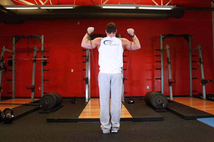 Demonstration of Shoulder Press - With Bands exercise showing proper form and technique