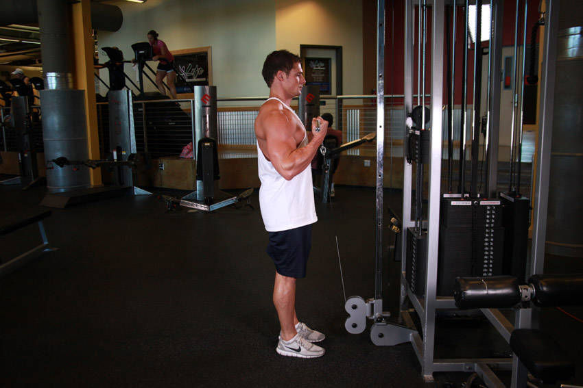 Alternative demonstration of Standing Biceps Cable Curl exercise