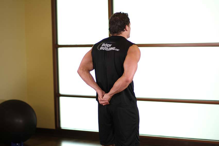 Demonstration of Standing Biceps Stretch exercise showing proper form and technique