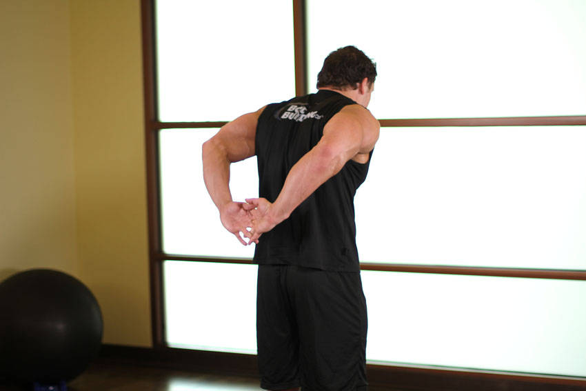 Alternative demonstration of Standing Biceps Stretch exercise