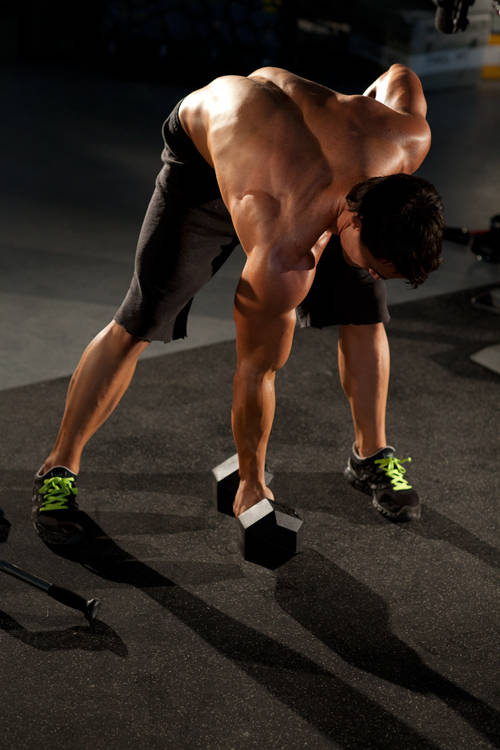 Demonstration of Standing Concentration Curl exercise showing proper form and technique