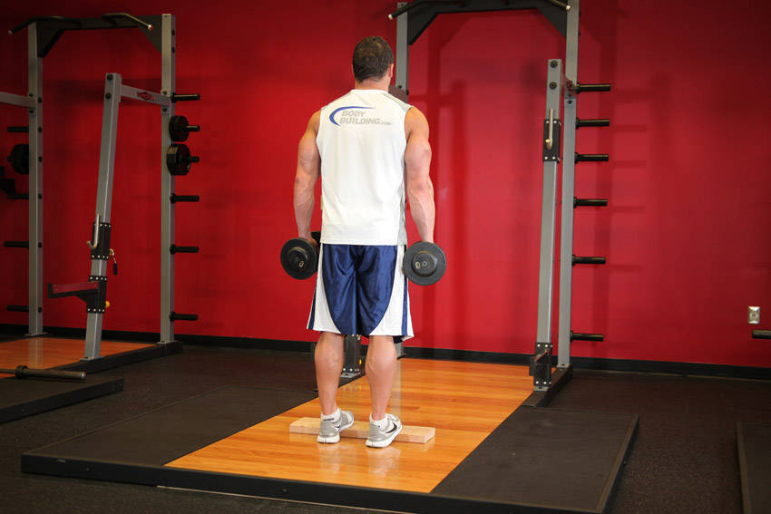 Demonstration of Standing Dumbbell Calf Raise exercise showing proper form and technique