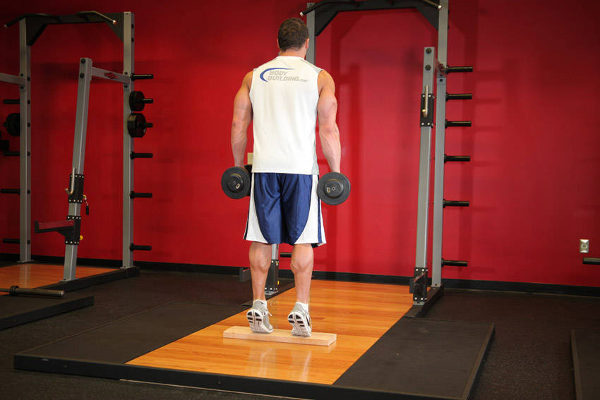 Alternative demonstration of Standing Dumbbell Calf Raise exercise