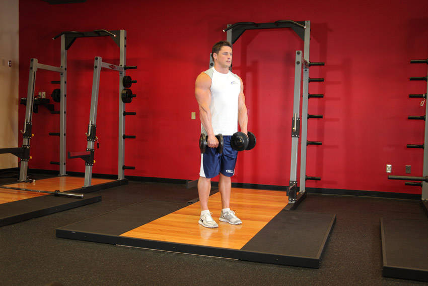 Demonstration of Standing Dumbbell Reverse Curl exercise showing proper form and technique