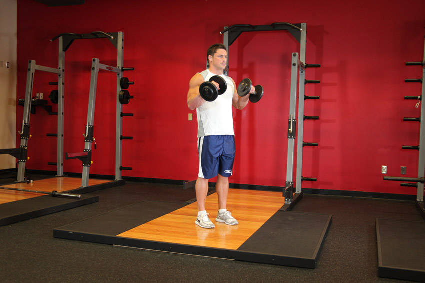 Alternative demonstration of Standing Dumbbell Reverse Curl exercise