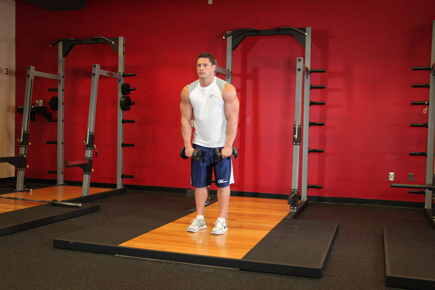 Demonstration of Standing Dumbbell Straight-Arm Front Delt Raise Above Head exercise showing proper form and technique