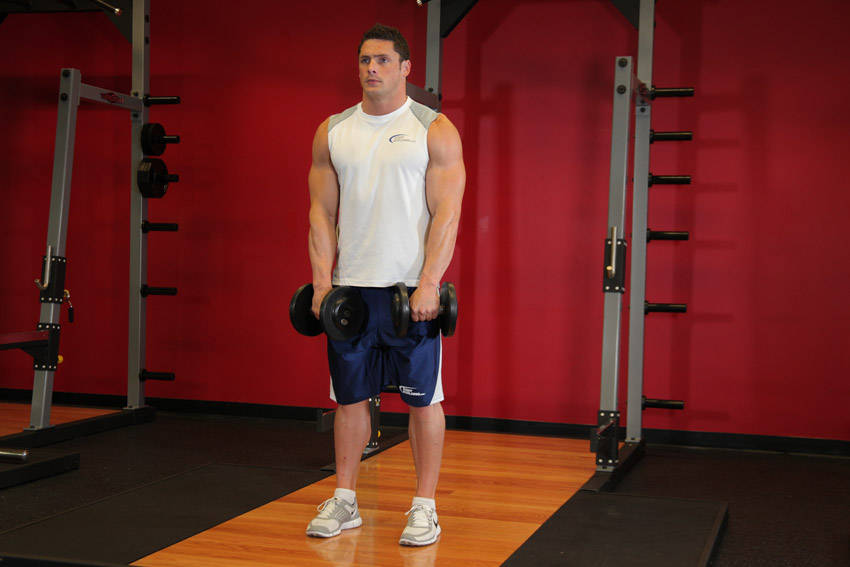 Alternative demonstration of Standing Dumbbell Upright Row exercise