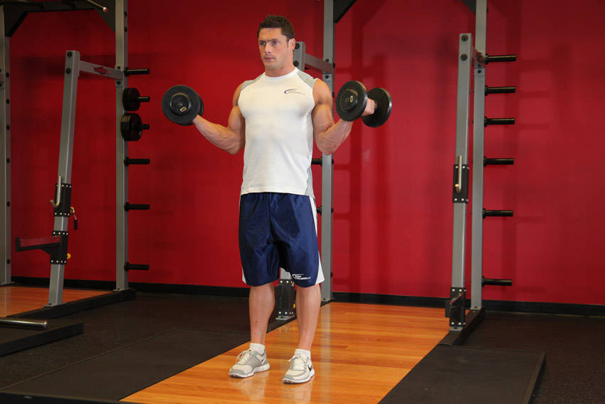 Alternative demonstration of Standing Inner-Biceps Curl exercise