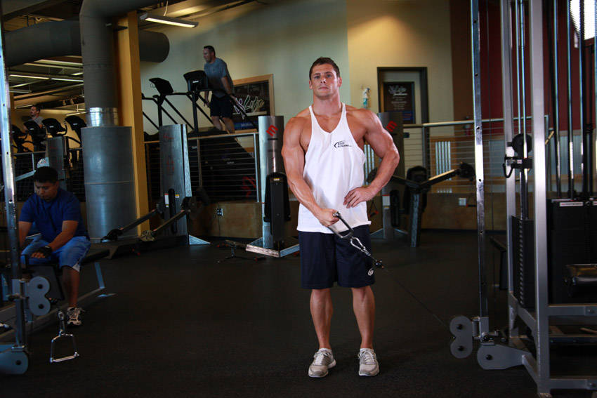 Alternative demonstration of Standing Low-Pulley Deltoid Raise exercise