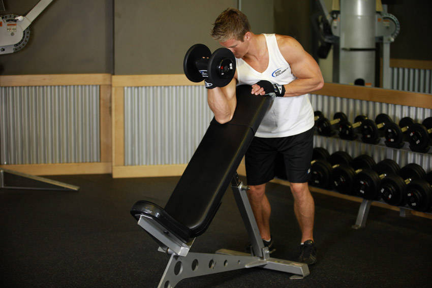 Alternative demonstration of Standing One-Arm Dumbbell Curl Over Incline Bench exercise