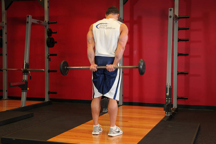 Demonstration of Standing Palms-Up Barbell Behind The Back Wrist Curl exercise showing proper form and technique