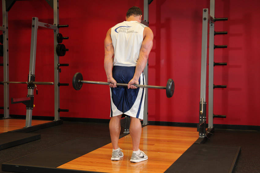 Alternative demonstration of Standing Palms-Up Barbell Behind The Back Wrist Curl exercise