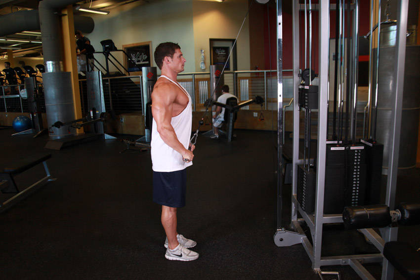 Alternative demonstration of Straight-Arm Pulldown exercise
