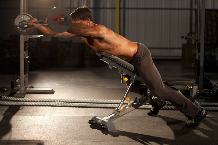 Alternative demonstration of Straight Raises on Incline Bench exercise