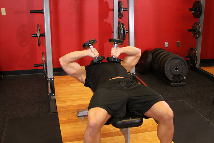 Demonstration of Tate Press exercise showing proper form and technique