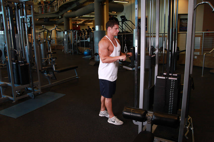 Demonstration of Triceps Pushdown exercise showing proper form and technique