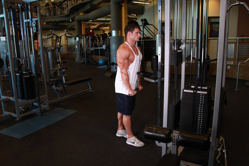 Alternative demonstration of Triceps Pushdown exercise