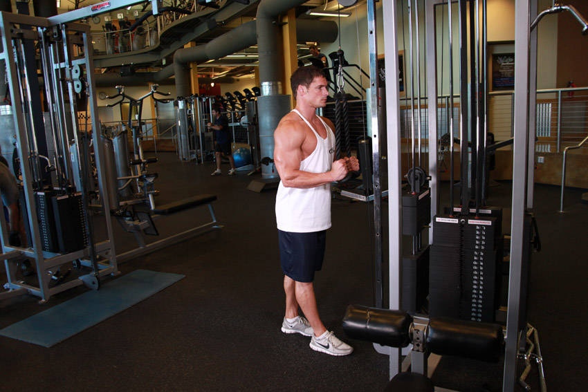 Demonstration of Triceps Pushdown - Rope Attachment exercise showing proper form and technique