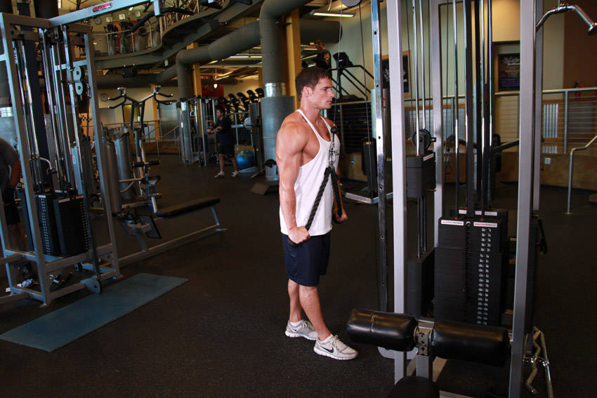 Alternative demonstration of Triceps Pushdown - Rope Attachment exercise