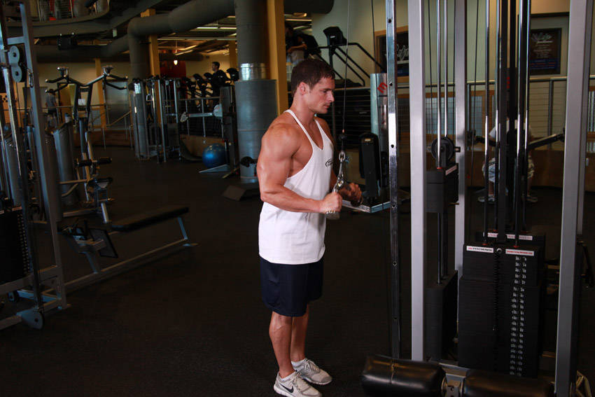 Demonstration of Triceps Pushdown - V-Bar Attachment exercise showing proper form and technique
