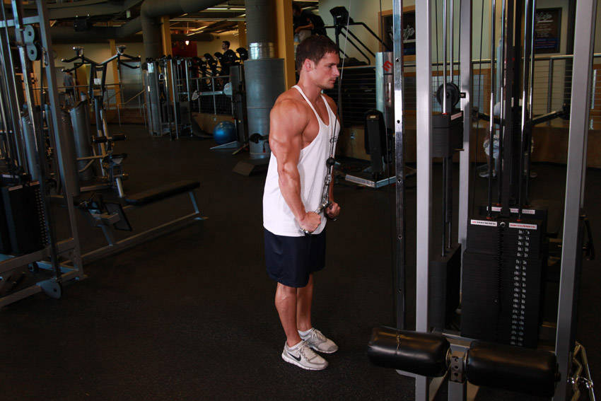Alternative demonstration of Triceps Pushdown - V-Bar Attachment exercise