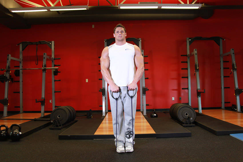 Demonstration of Upright Row - With Bands exercise showing proper form and technique